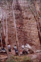 Carlos Pereira - sector Mosaico - S. Bartolo