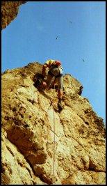 Biceps - 6a