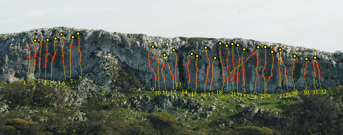 Sector dos Anões (esquerda) e dos Dementes (direita)